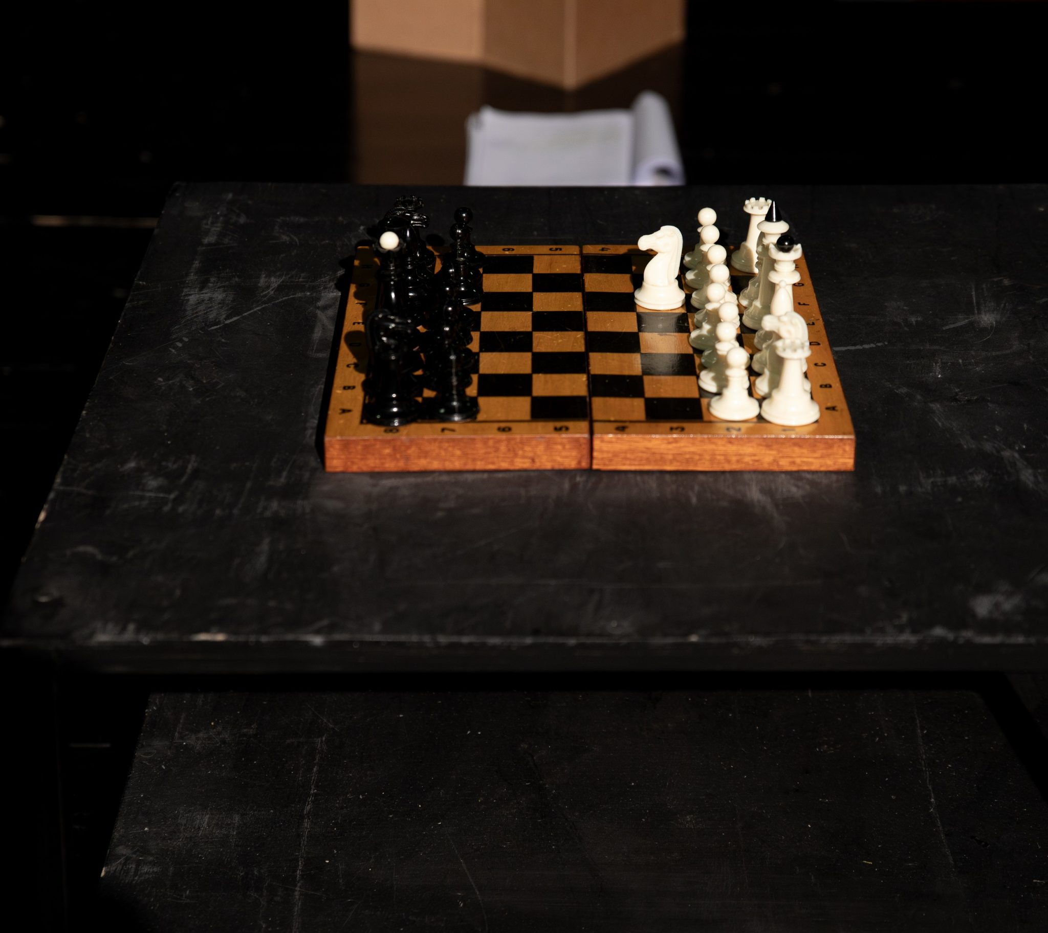 Lygiosios trunka akimirką. Repeticija. P.Gagaitės nuotr. (6)